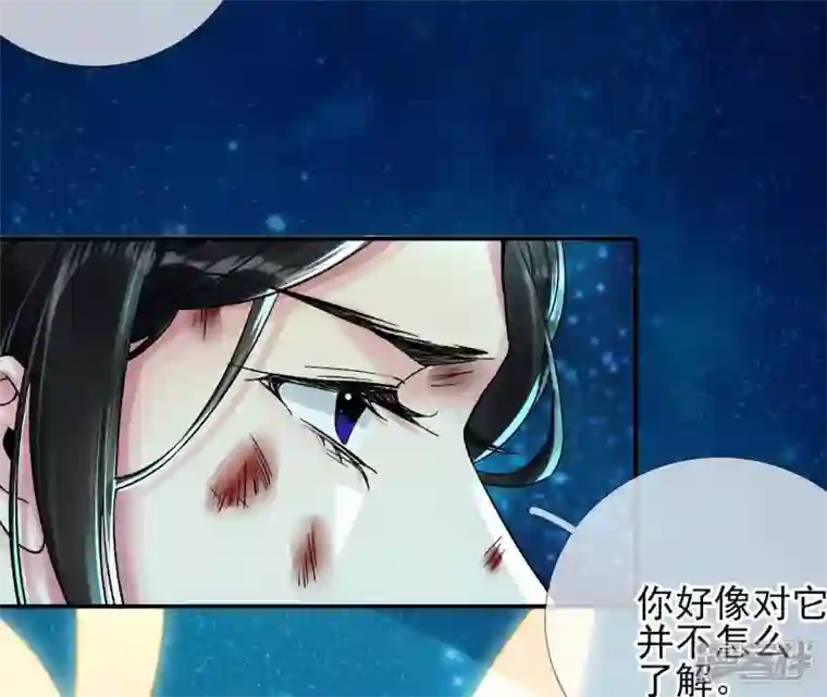 废柴女配，独揽群芳第29话 影族的家主
