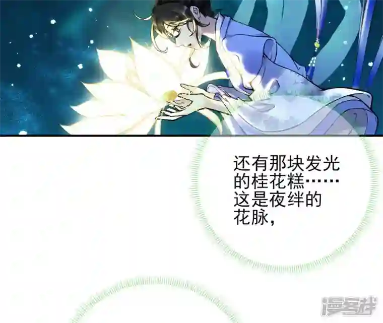 废柴女配，独揽群芳第30话 夜绊的回忆（上）