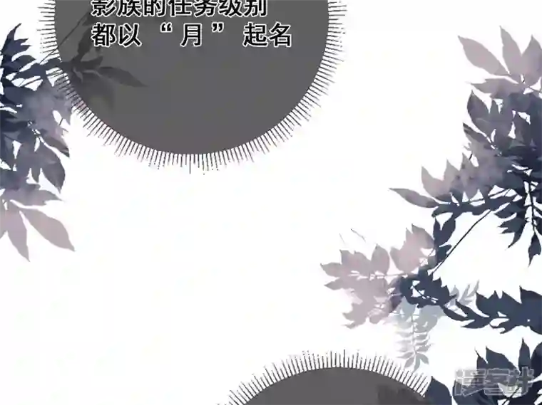 废柴女配，独揽群芳第32话 夜绊的回忆（下）