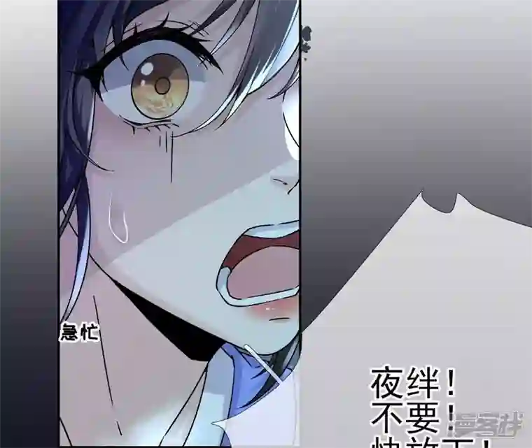 废柴女配，独揽群芳第32话 夜绊的回忆（下）