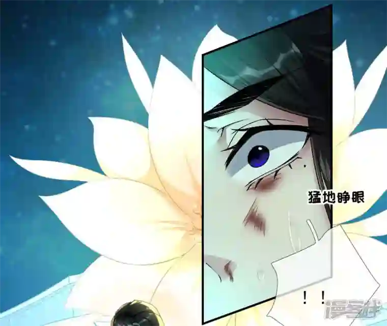废柴女配，独揽群芳第33话 从今天起你就是新族长