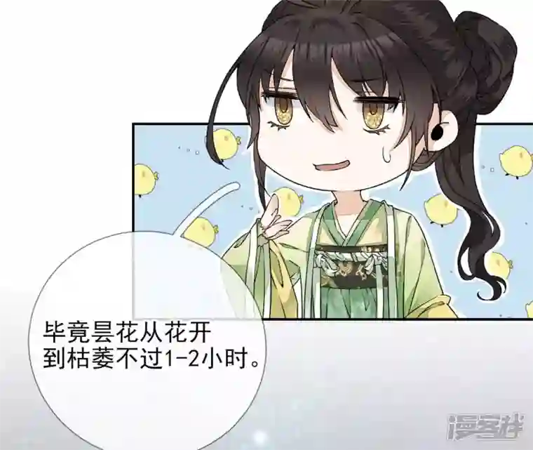 废柴女配，独揽群芳第34话 我将永远守护你