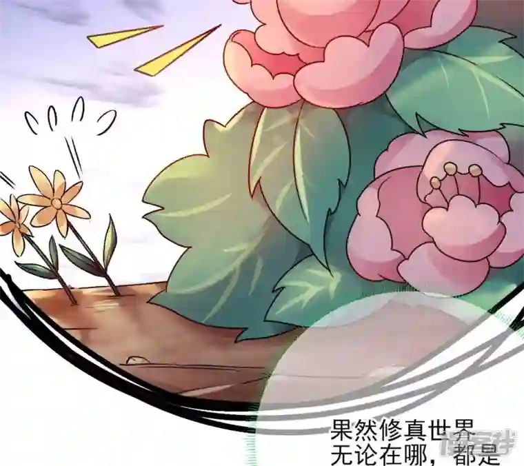 废柴女配，独揽群芳第40话 这只是一份诅咒名单