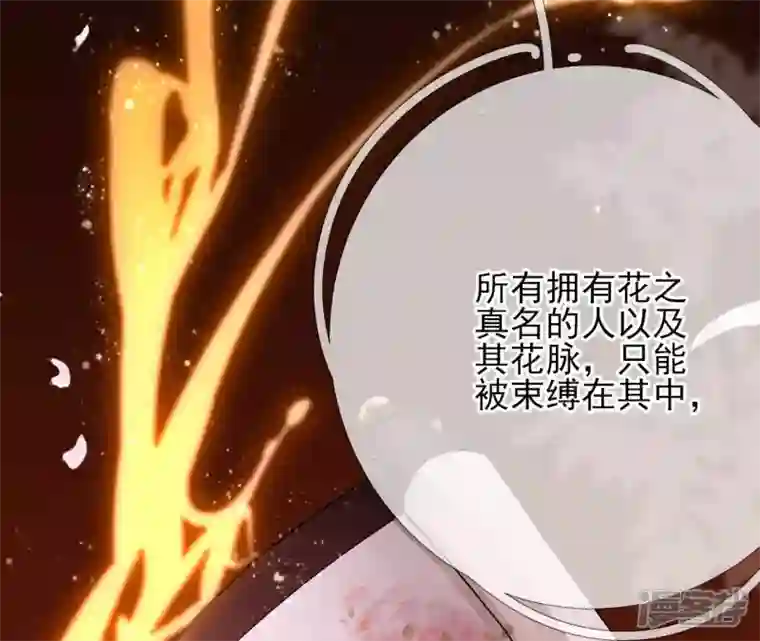 废柴女配，独揽群芳第40话 这只是一份诅咒名单