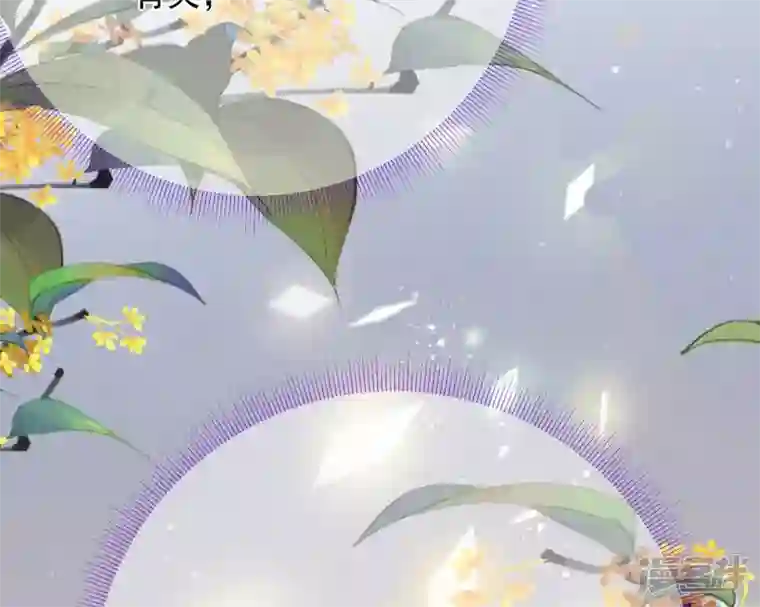 废柴女配，独揽群芳第48话 朕要米花做王后！
