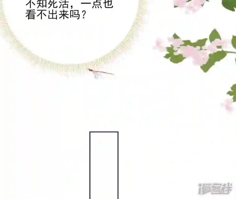 废柴女配，独揽群芳第57话 本王正式娶你