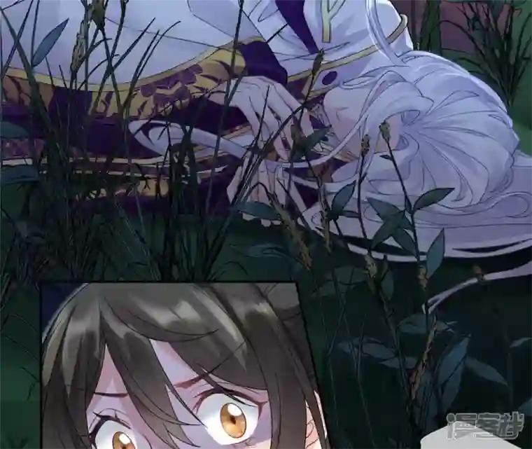 废柴女配，独揽群芳第63话 国师失忆