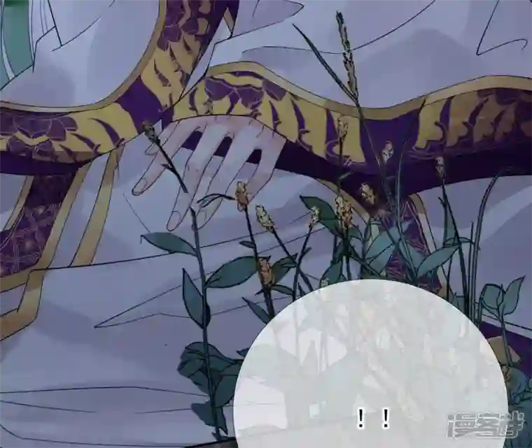 废柴女配，独揽群芳第63话 国师失忆