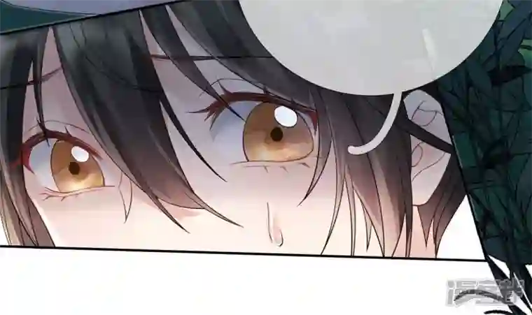 废柴女配，独揽群芳第63话 国师失忆