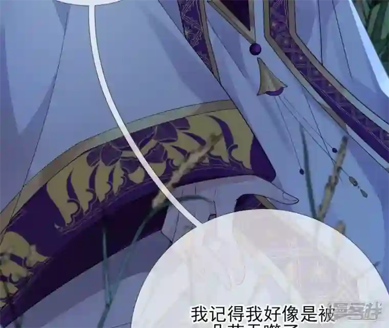 废柴女配，独揽群芳第63话 国师失忆