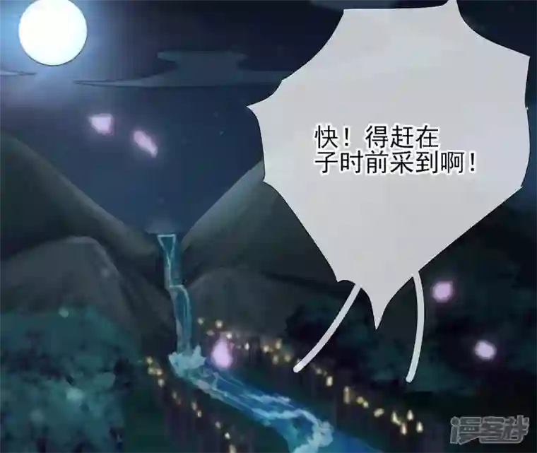 废柴女配，独揽群芳第65话 国师的花之真名