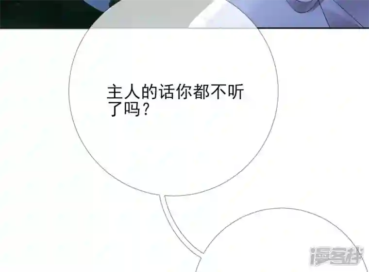 废柴女配，独揽群芳第65话 国师的花之真名