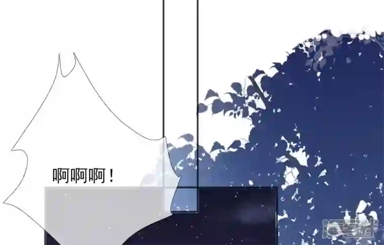 废柴女配，独揽群芳第65话 国师的花之真名