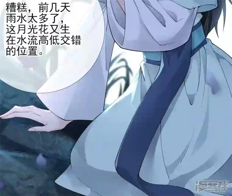 废柴女配，独揽群芳第65话 国师的花之真名