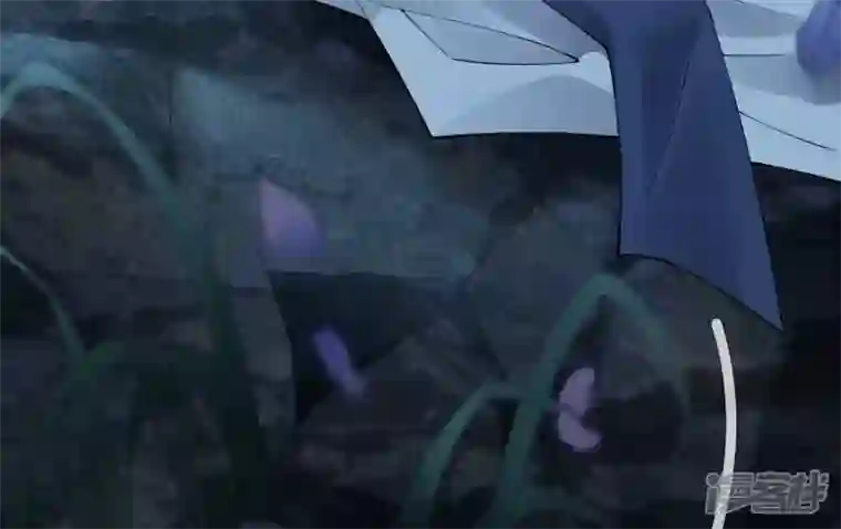 废柴女配，独揽群芳第65话 国师的花之真名