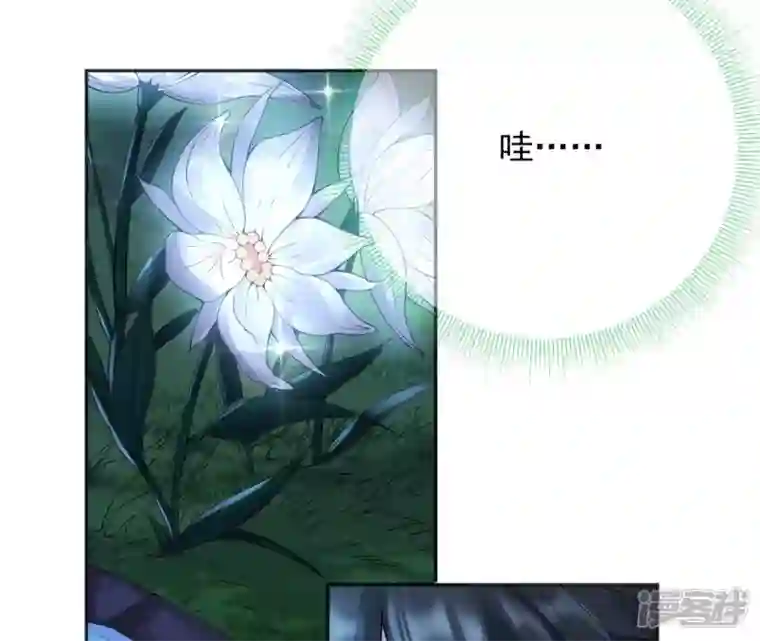 废柴女配，独揽群芳第65话 国师的花之真名