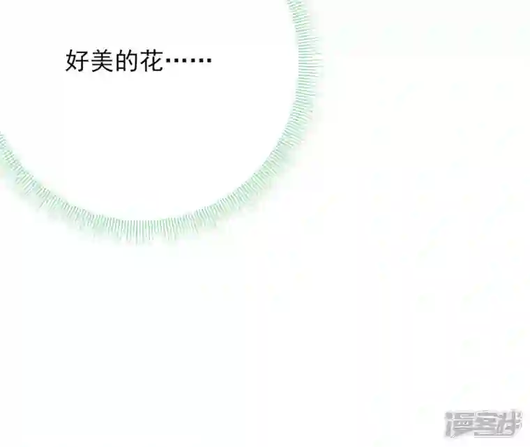 废柴女配，独揽群芳第65话 国师的花之真名