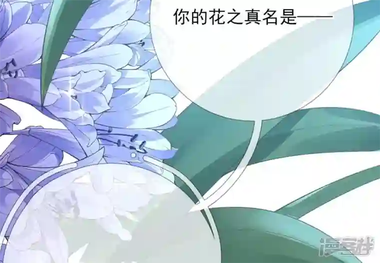 废柴女配，独揽群芳第65话 国师的花之真名