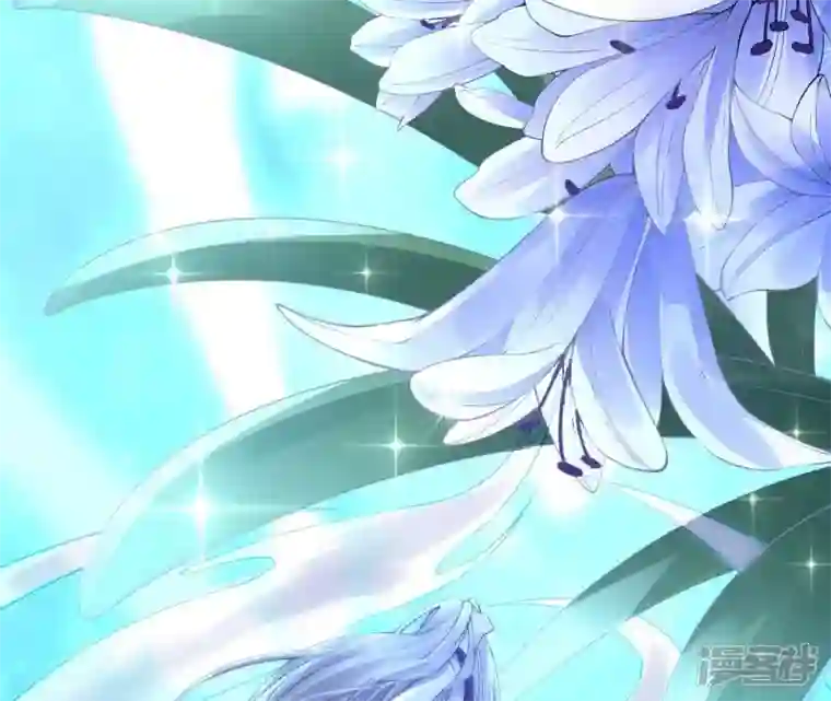 废柴女配，独揽群芳第65话 国师的花之真名