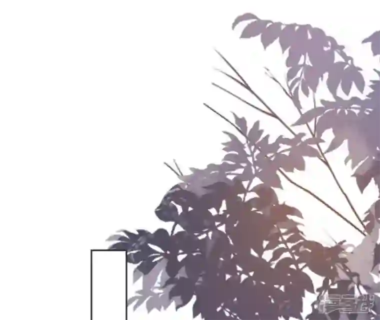 废柴女配，独揽群芳第66话 国师的记忆恢复了