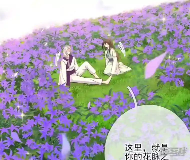 废柴女配，独揽群芳第66话 国师的记忆恢复了