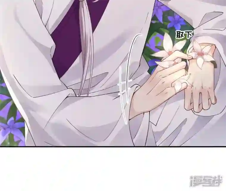 废柴女配，独揽群芳第67话 不可以伤害国师大人！