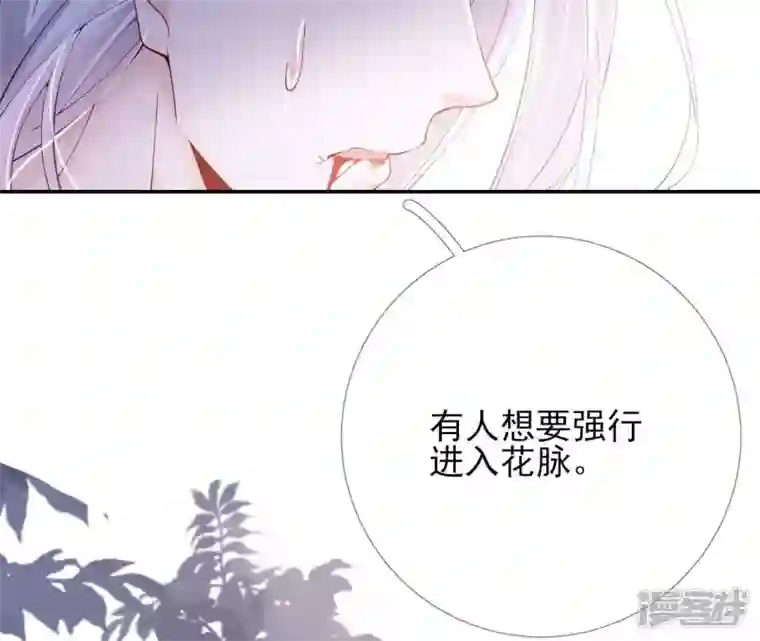 废柴女配，独揽群芳第67话 不可以伤害国师大人！