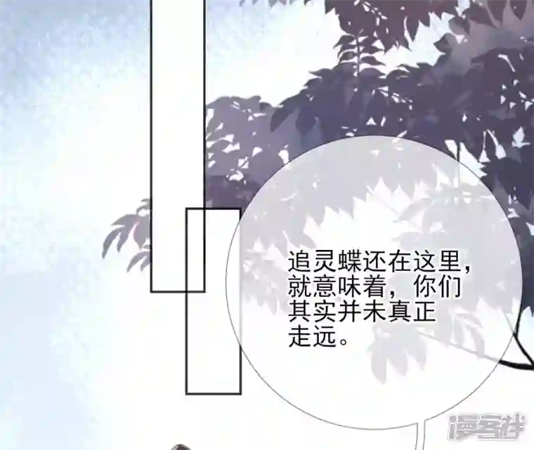 废柴女配，独揽群芳第67话 不可以伤害国师大人！