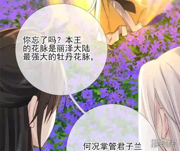 废柴女配，独揽群芳第67话 不可以伤害国师大人！