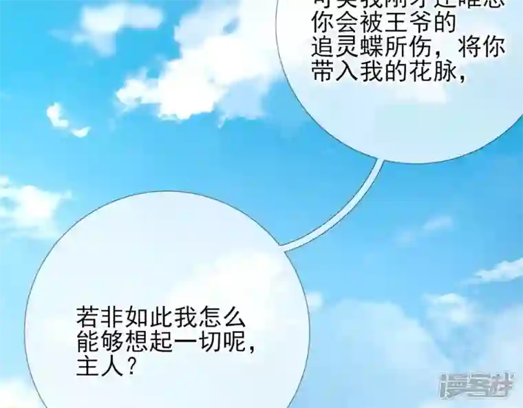 废柴女配，独揽群芳第67话 不可以伤害国师大人！