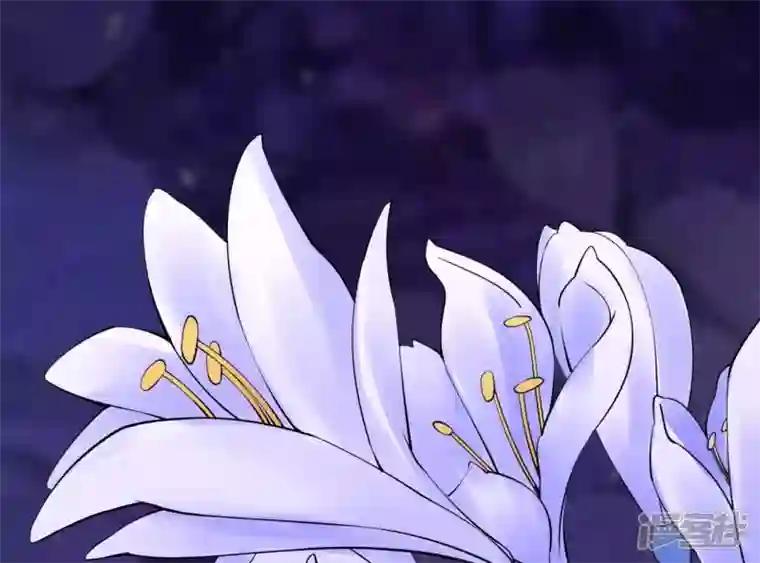 废柴女配，独揽群芳第74话 我欠你一句回应