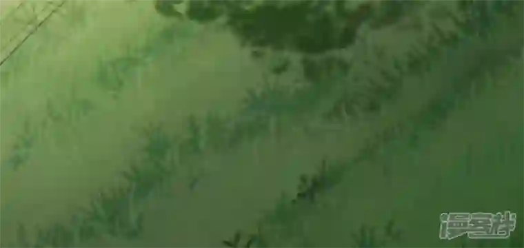 废柴女配，独揽群芳第75话 丽泽要变天了