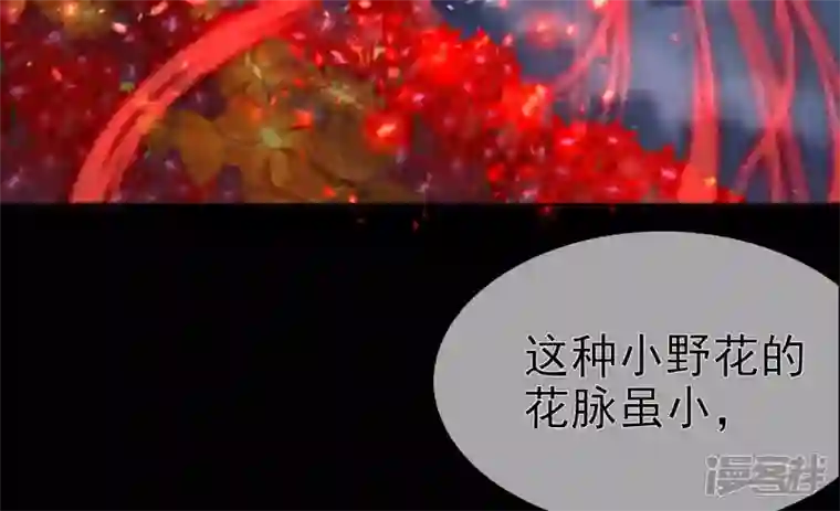 废柴女配，独揽群芳第84话 黑夜来临