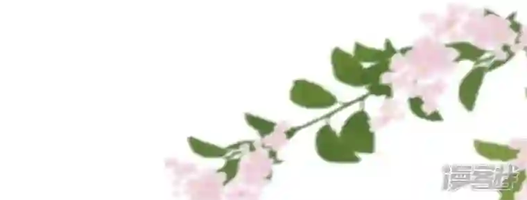 废柴女配，独揽群芳第89话 品相大会（中）