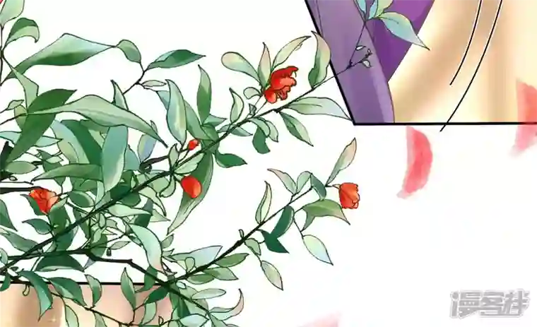 废柴女配，独揽群芳第90话 品香大会（下）