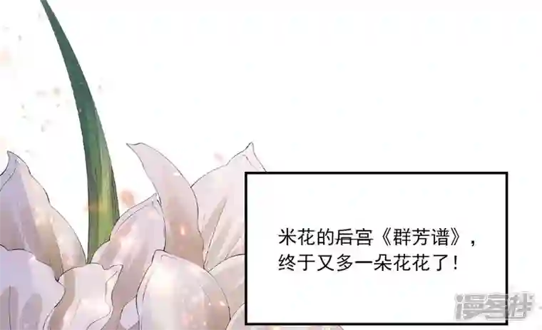 废柴女配，独揽群芳花月小档案