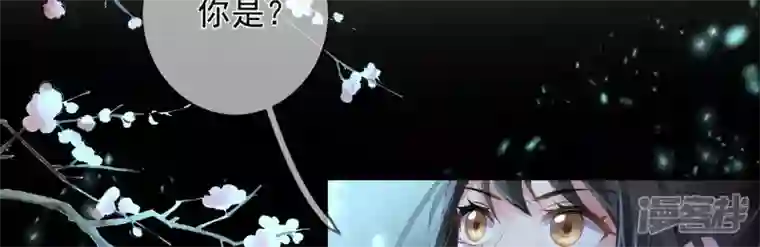 废柴女配，独揽群芳第95话 最强宗师