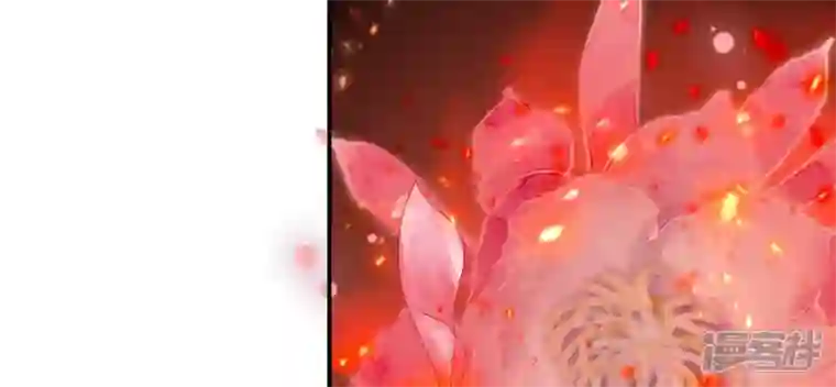 废柴女配，独揽群芳第102话 感应