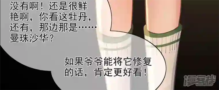 废柴女配，独揽群芳第104话 卯的愿望