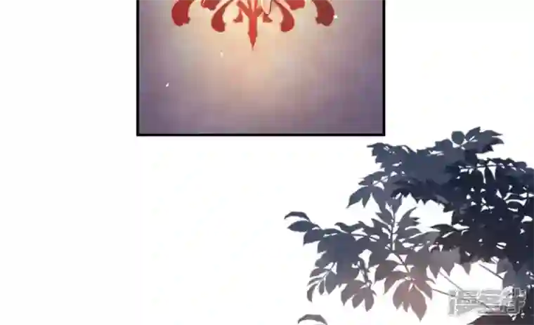 废柴女配，独揽群芳第104话 卯的愿望