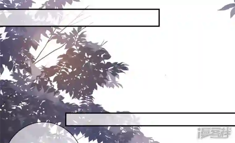 废柴女配，独揽群芳第104话 卯的愿望
