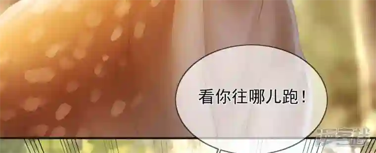 废柴女配，独揽群芳第105话 雷劫