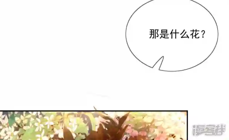 废柴女配，独揽群芳第106话 黑牡丹