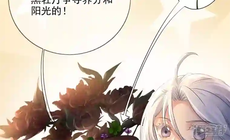 废柴女配，独揽群芳第107话 冤家路窄