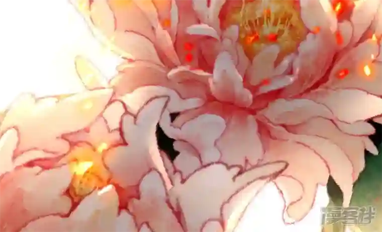 废柴女配，独揽群芳第109话 命定之人