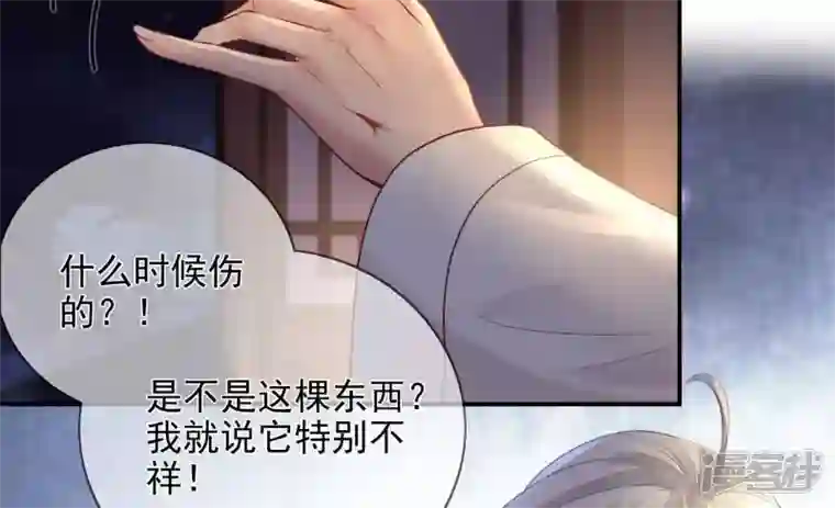 废柴女配，独揽群芳第109话 命定之人