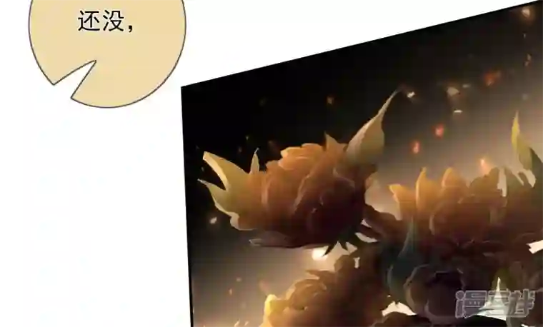 废柴女配，独揽群芳第109话 命定之人