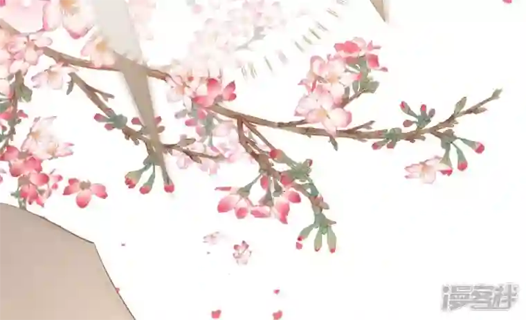 废柴女配，独揽群芳第117话 命运分歧