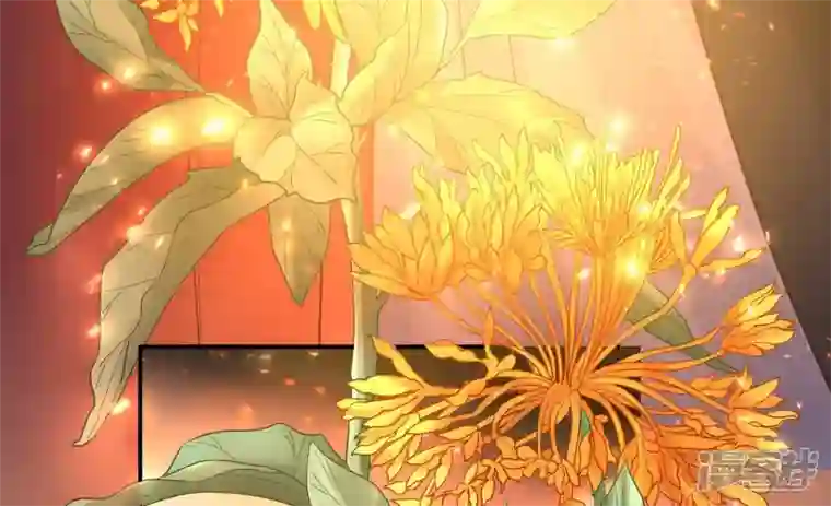 废柴女配，独揽群芳第117话 命运分歧