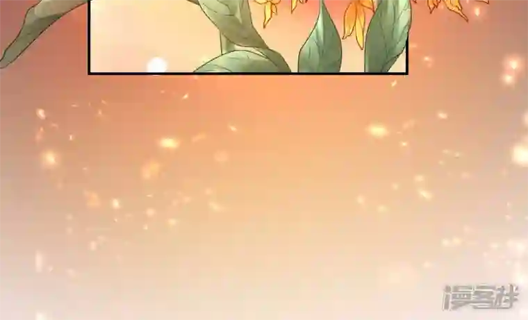 废柴女配，独揽群芳第117话 命运分歧